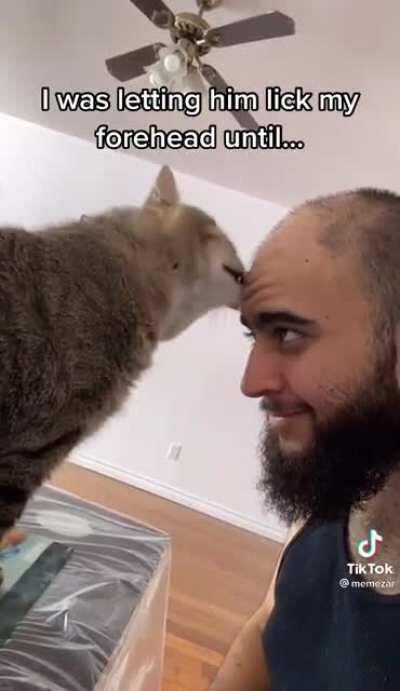 Cats can be real wankers at times