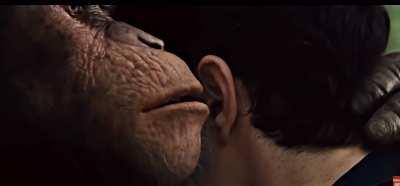 Shitposting 101🎧 recommended