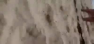 to record a marriage proposal