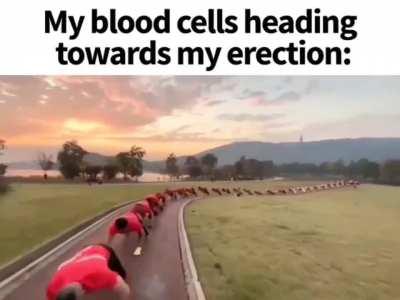 This had me laughing for like 20 whole minutes 