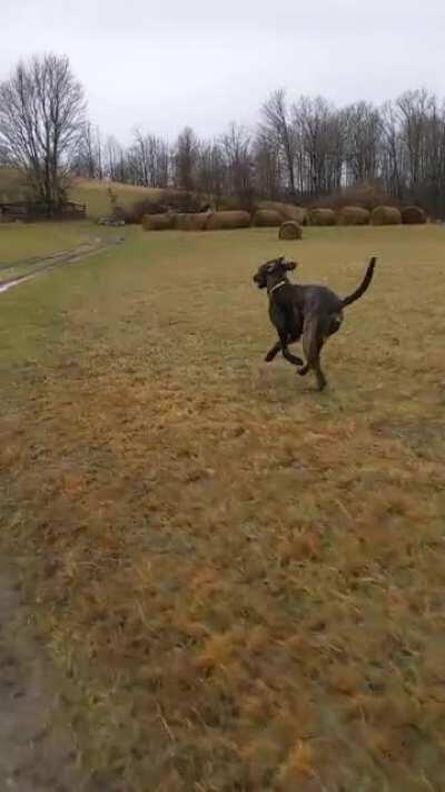 We finally wore him out!! -- 4wheeler race did the trick 🤍