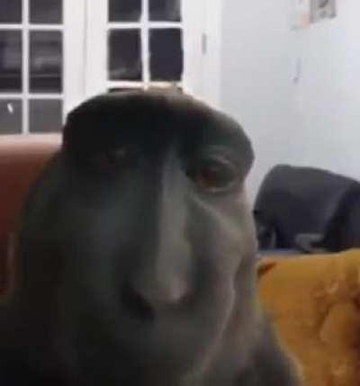 Nakuwa ka na ba ng tingin ko?