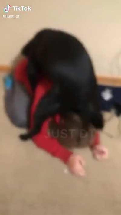 perro follador de nucas