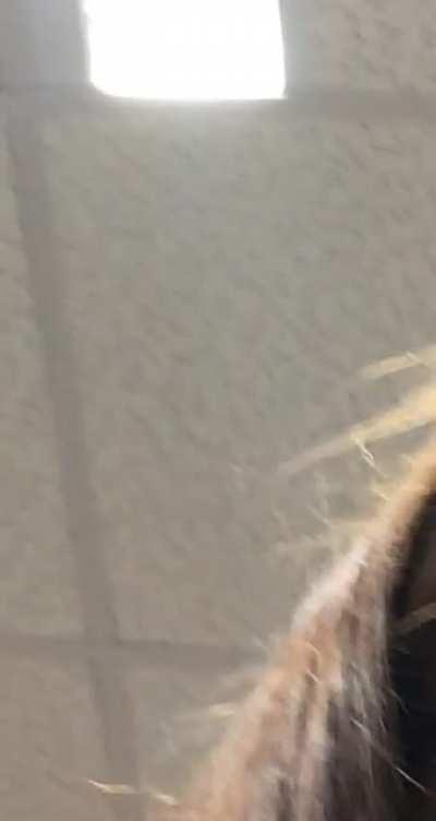 I get to sit directly under this for the next three hours.