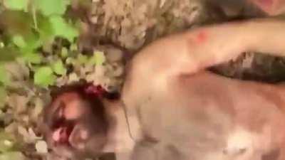 A very graphic yet powerful video showing the profound Russian failure in Ukraine.