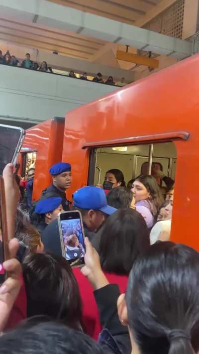 A passenger fighting desperately to catch the subway train.