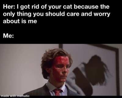 Time to go looking for my cat