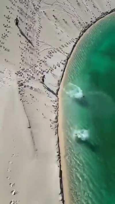 Have you ever heard of a desert with more water than sand? - Lençóis Maranhenses National Park, Brazil 🇧🇷