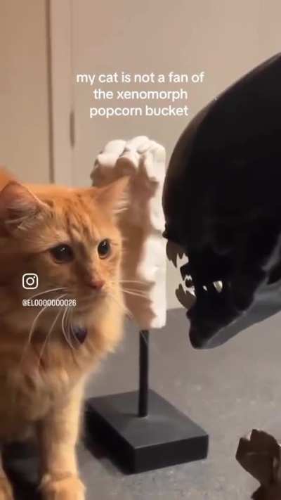 alien isolation yayınlarında cs (ve tüm izleyenler)