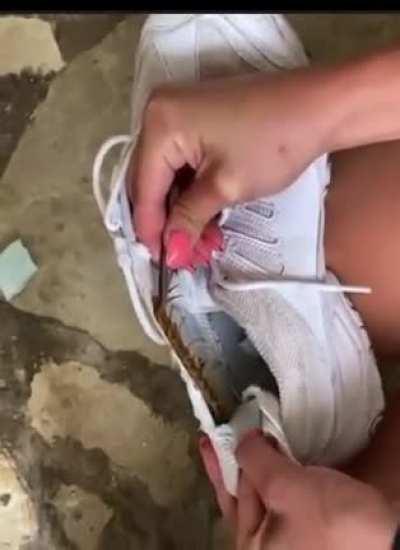 Remember to check your shoes....