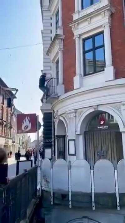 I can't even climb a tree