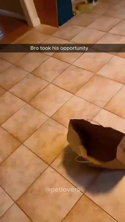 Black is the new orange