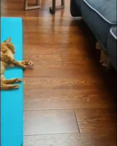 That's right back away