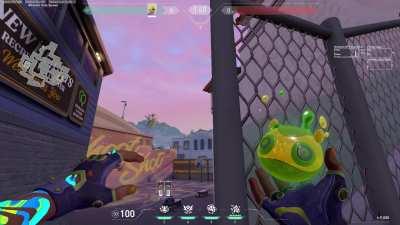 BROKEN Gekko Lineup on Sunset (must watch)