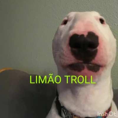 Orochisegundo - Video #3017