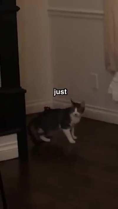 I'm dissapointed in myself that I've never sent this video here.