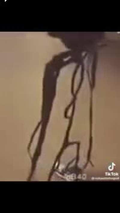 It’s just a drippin memory