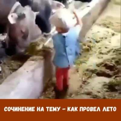 Как ломали быкам - рога. Сочинение на тему - как провел лето