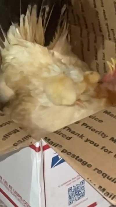 Lmfao nothing like being a new mom