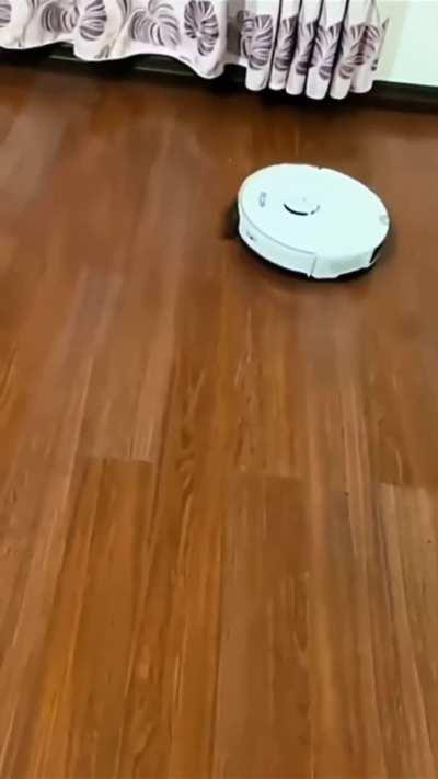 robotic catuum cleaner 