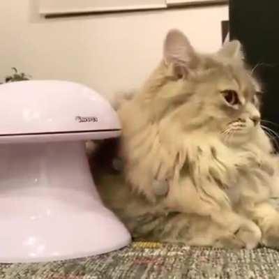 Or maybe this is how it’s supposed to be done?