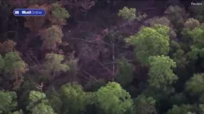 Footage of the debris field of the F-35 jet has been released after it was located in a field in Williamsburg County, South Carolina. The crash site was about 80 miles from Joint Base Charleston, South Carolina.