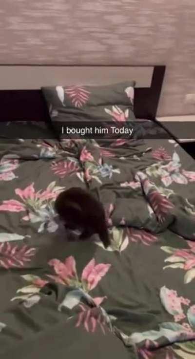 bros mashing all the buttons tryna get a combo