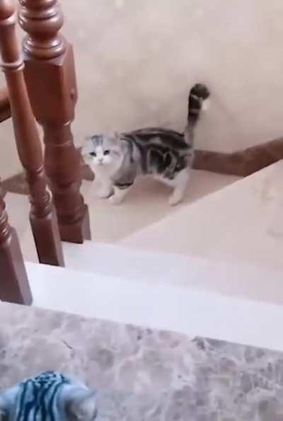 Being cute in front of someone you like