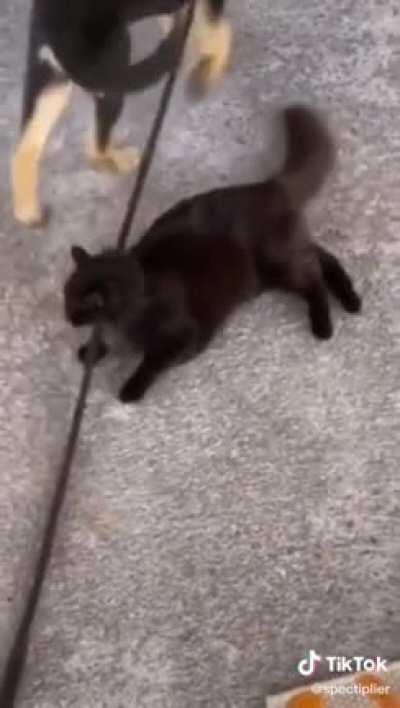 The last kiss before the act