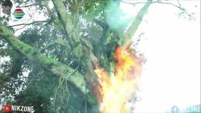 Titan Shifter Went Wrong