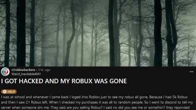 average r/robloxhackers experience