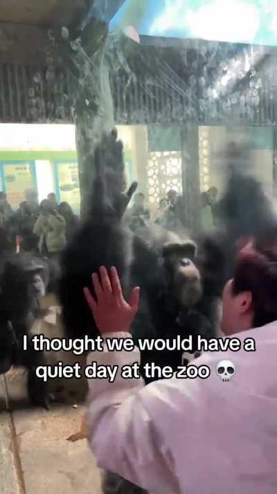 Took her zoo trip a lil too seriously 