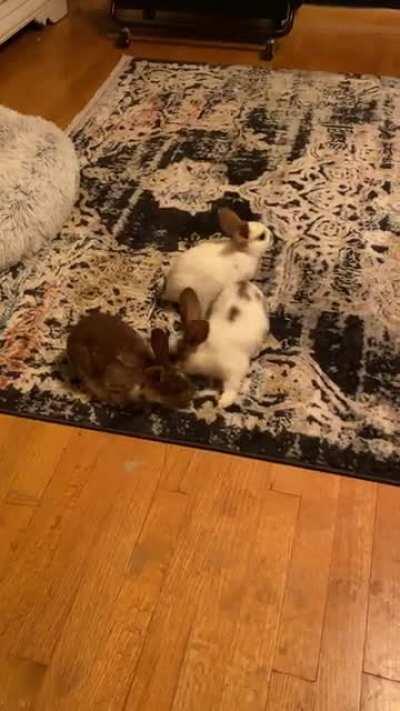 I think they were all trying to have a sibling meeting