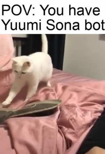 Secret broken combo, trust me :)