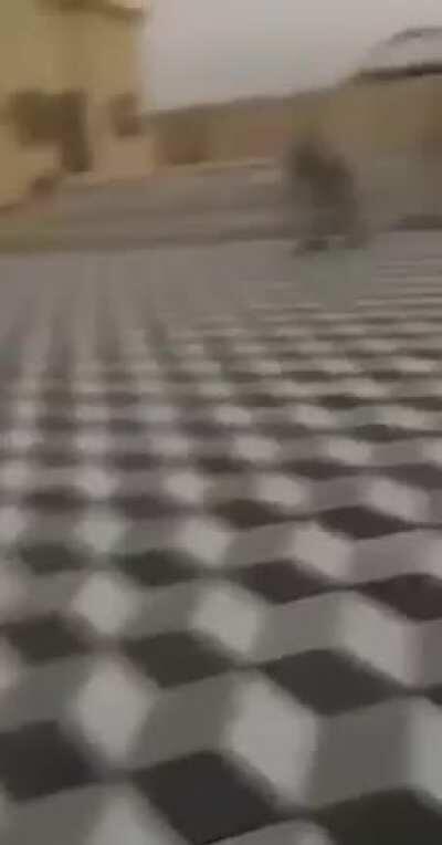 They cemented his hatred of them.