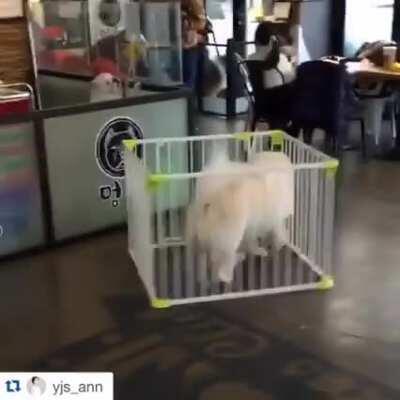 To cage the beast