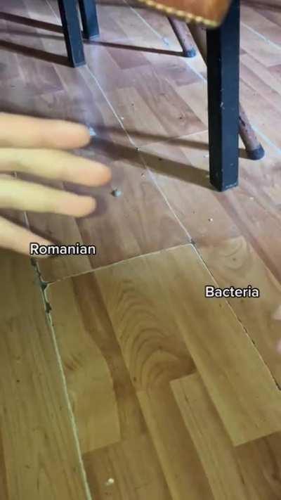 This is my social experiment, with help 800.000 Fps camera, i was able to catch robmanian act in wild