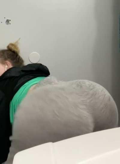 Shake that shit like jelly