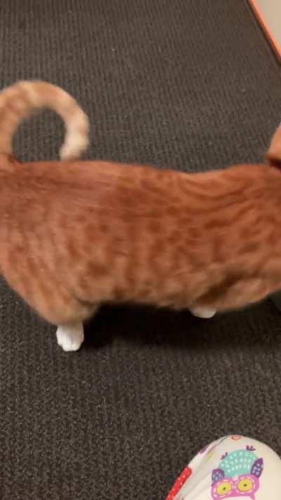 Yelling while practicing his tricks