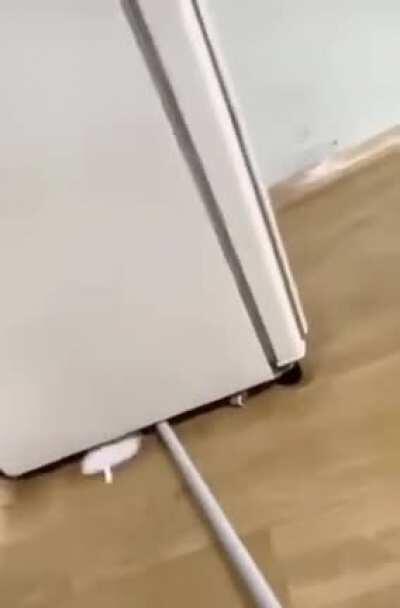 Don’t forget to clean the dust under your fridge