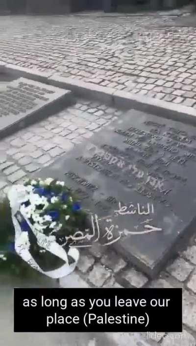 Goes to Auschwitz, starts yelling antisemitic stuff