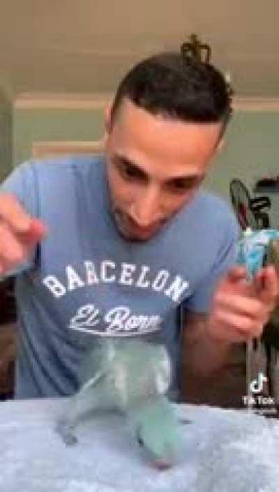 the duds reaction is fantastic