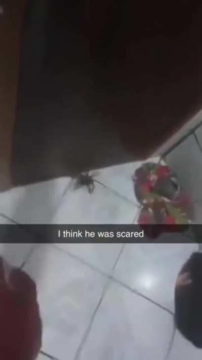 Man narrowly escapes heart attack