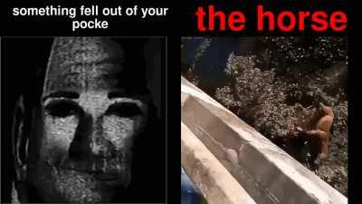 the horse that fell out of your pocke is: the damn horse