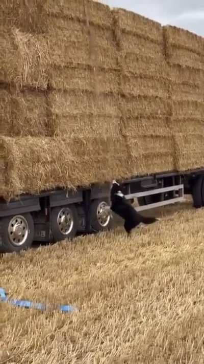 HMK while I catch these