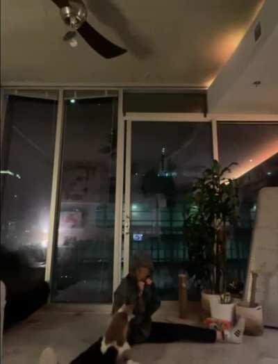 Задолбала со своим тиктоком