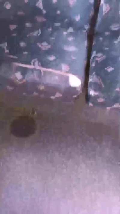 Where is bro taking us💀