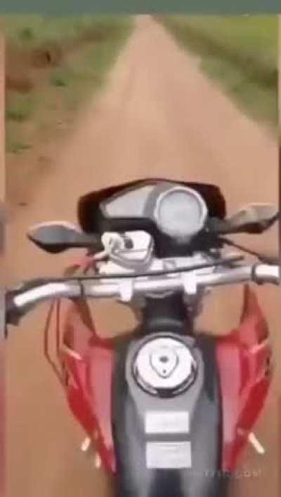 Practising doing wheelstands on a dirt track