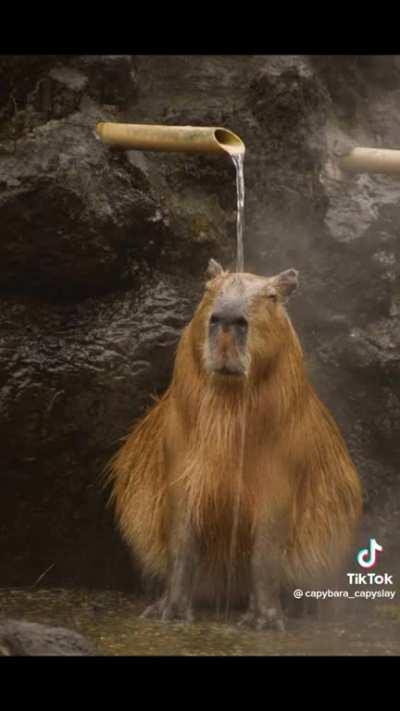 They made a edit of GORT (very epic)