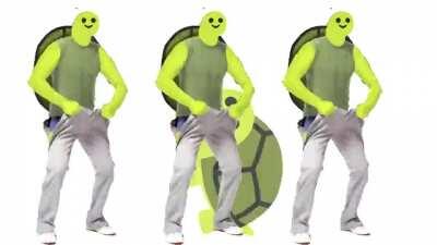 🐢 (créditos: stickfab)